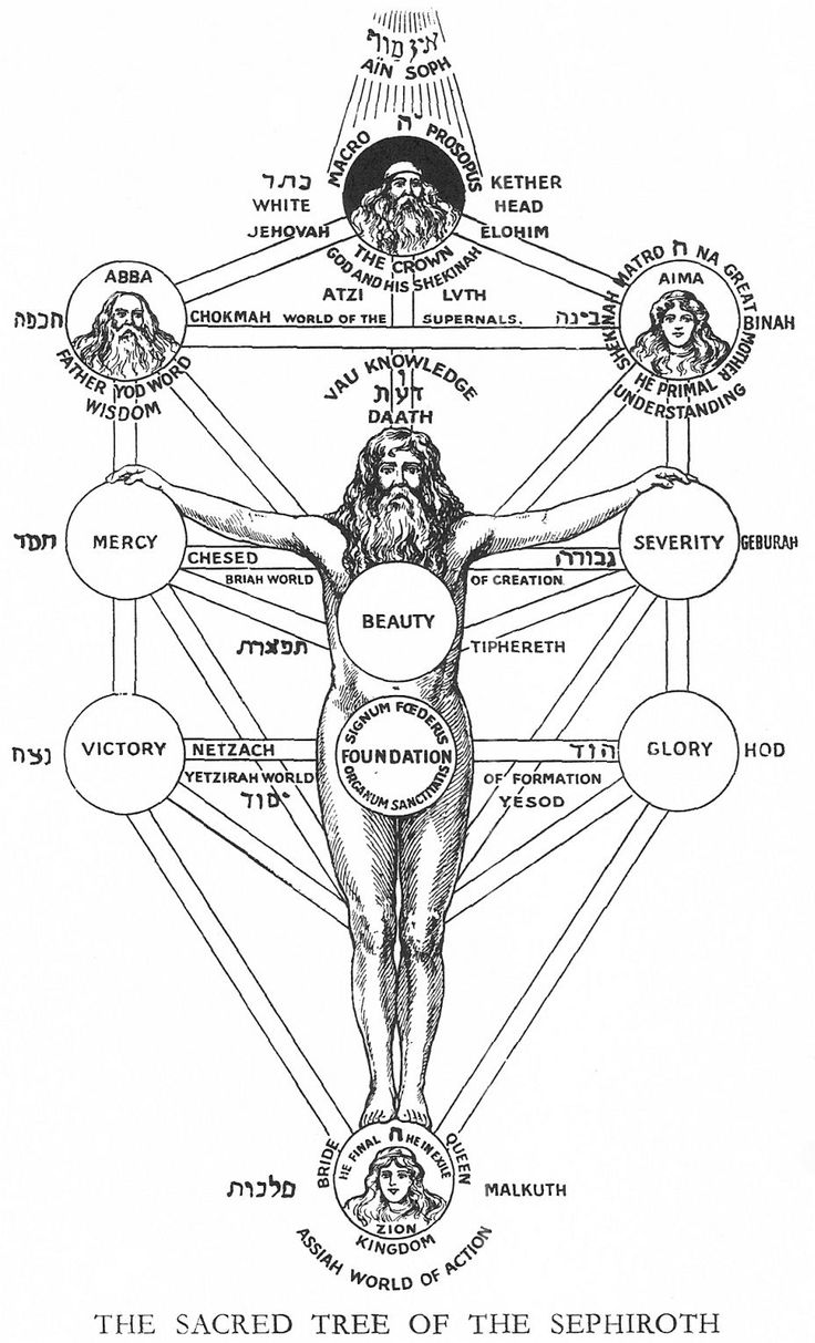 sephirot-tree.jpg