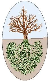 bagavad gita tree.jpeg