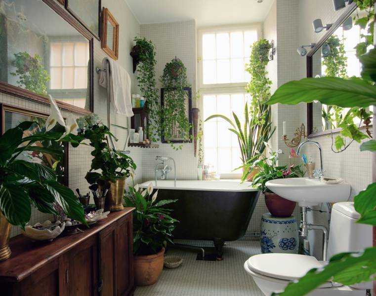 bathroom-plants-lush.jpg